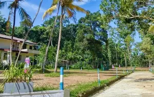 නුවර පාරට ළඟින් - කිරිල්ලවලින් බිම් කොටස්