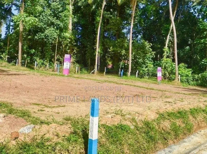 නුවර පාරට ළඟින් - කිරිල්ලවලින් බිම් කොටස්