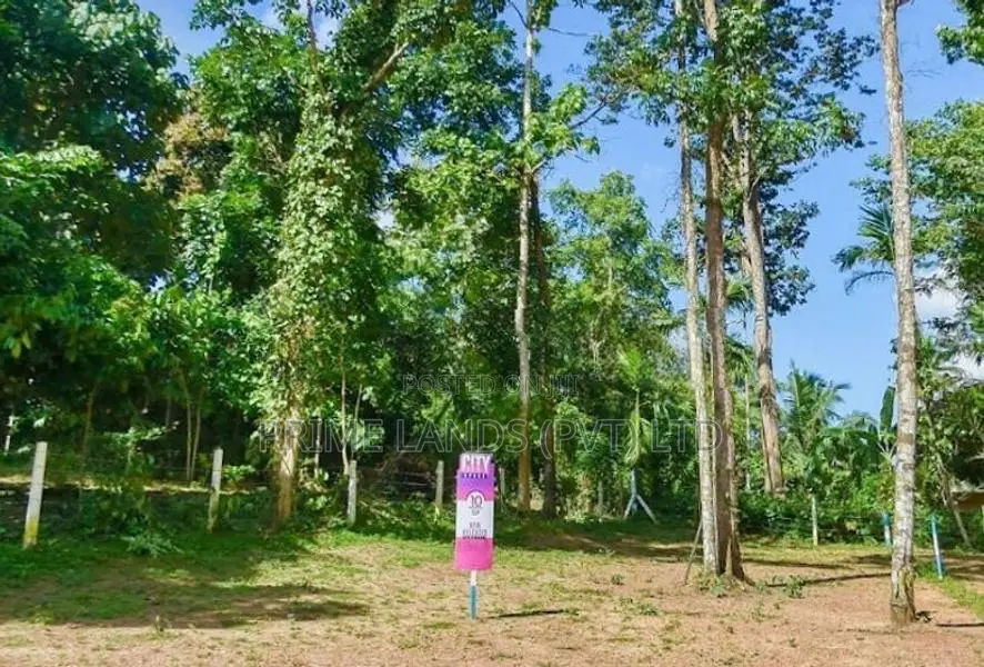 නුවර පාරට ළඟින් - කිරිල්ලවලින් බිම් කොටස්