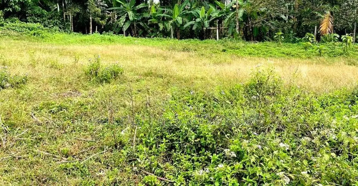 Land for Sale Kuliyapitiya