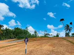Lands for sale in Ambalangoda