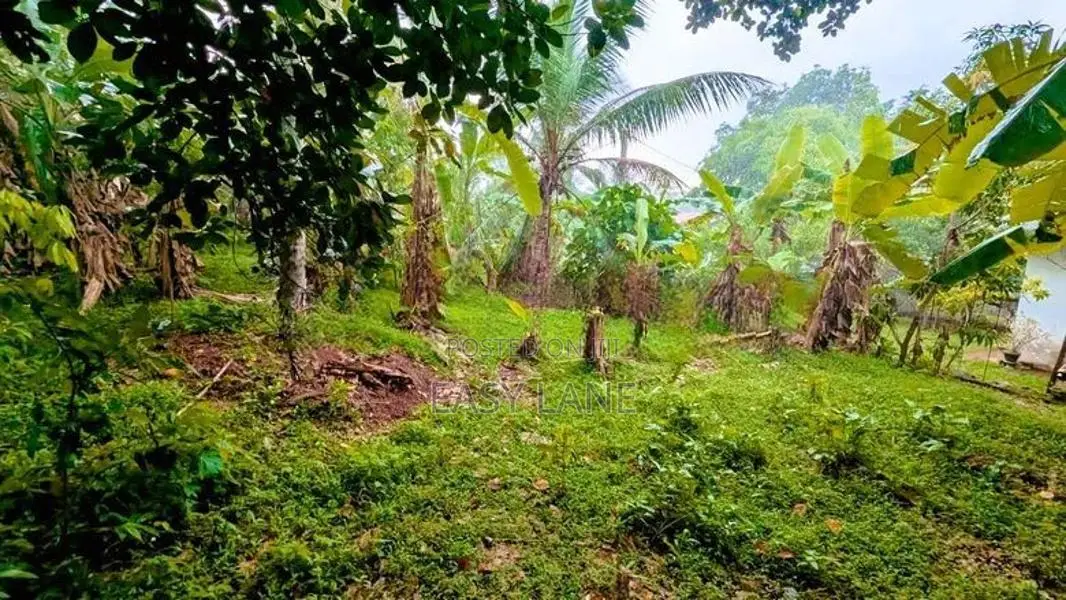 ගනේමුල්ල බොල්ලත ඉඩම් කැබලි දෙකක්
