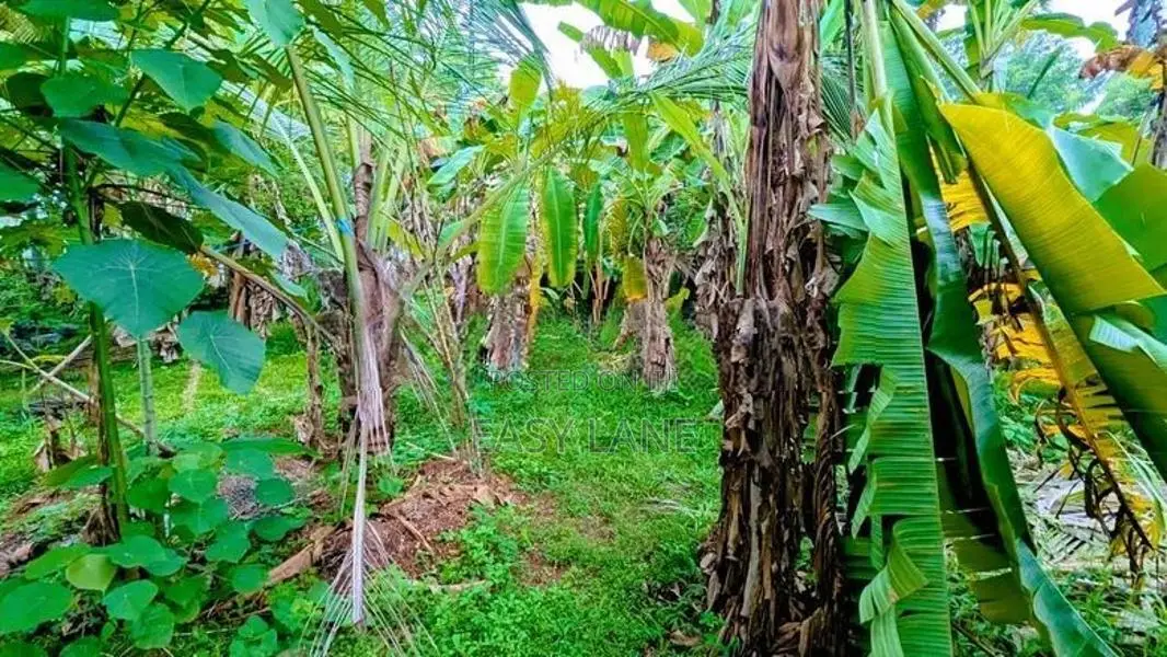 ගනේමුල්ල බොල්ලත ඉඩම් කැබලි දෙකක්