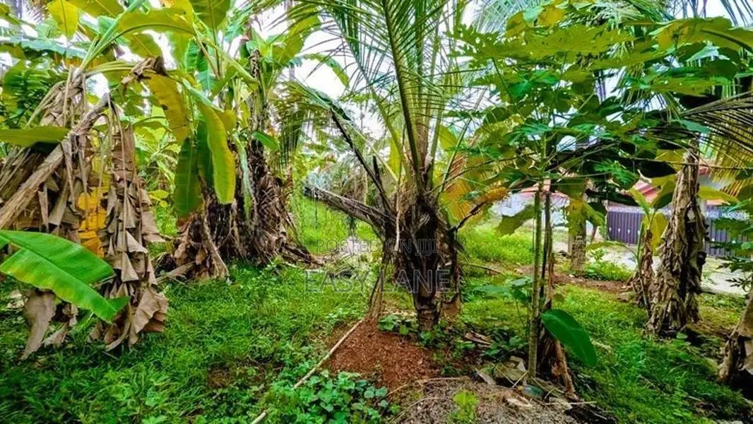 ගනේමුල්ල බොල්ලත ඉඩම් කැබලි දෙකක්