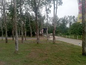 වටිනා ඉඩමක් හොරන බැල්ලපිටිය ප්‍රබුද්ධගම බස් මාර්ගයට ඇවිදින දුරින්