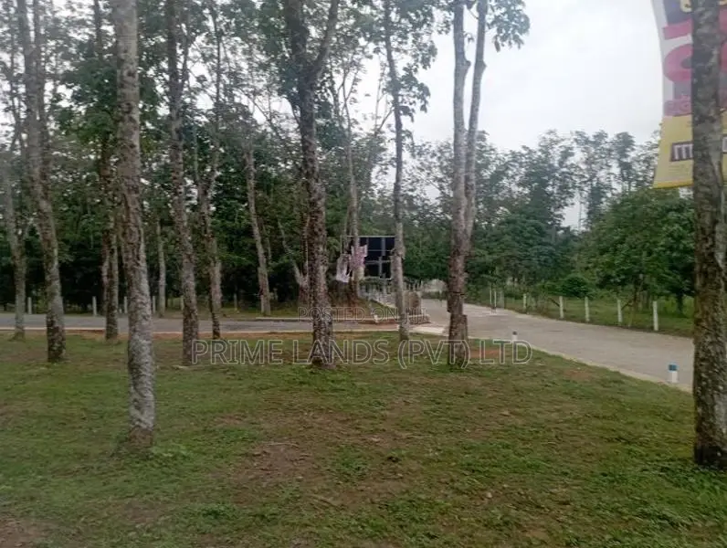 වටිනා ඉඩමක් හොරන බැල්ලපිටිය ප්‍රබුද්ධගම බස් මාර්ගයට ඇවිදින දුරින්