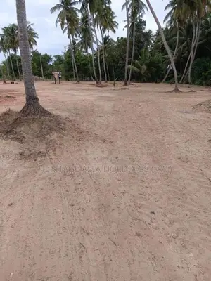 Land for Sale in හලාවත