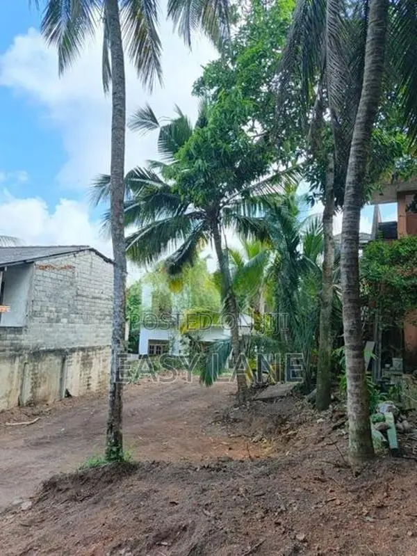 කොට්ටාව නගර සීමාවෙන් පිලියන්දල පාරට 1 km වටිනා ඉඩමක්