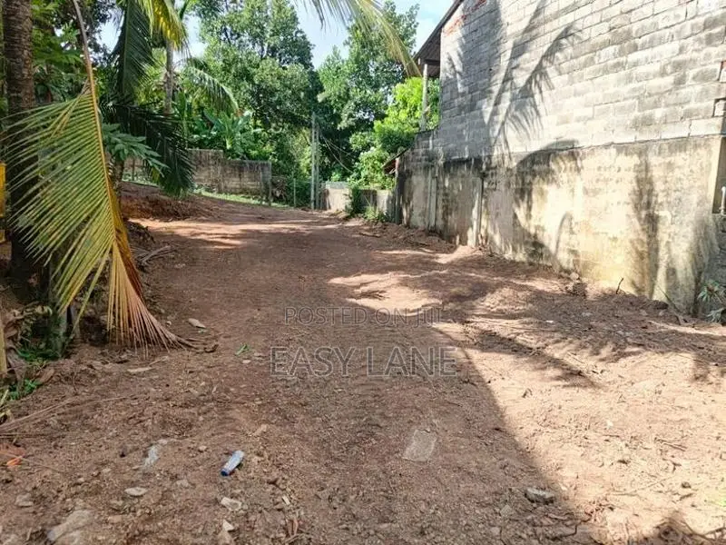කොට්ටාව නගර සීමාවෙන් පිලියන්දල පාරට 1 km වටිනා ඉඩමක්