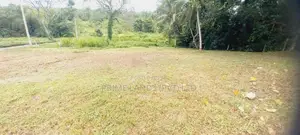 කිඳෙල්පිටිය හන්දියට ලඟින් වටිනා ඉඩමක්