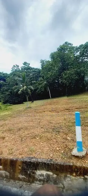 කිඳෙල්පිටිය හන්දියට ලඟින් වටිනා ඉඩමක්