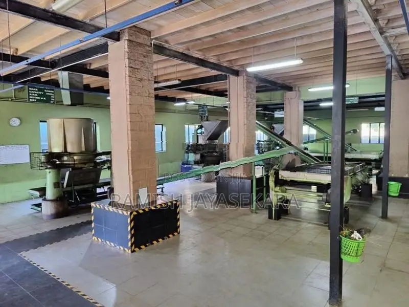 Tea Factory for Rent Matara