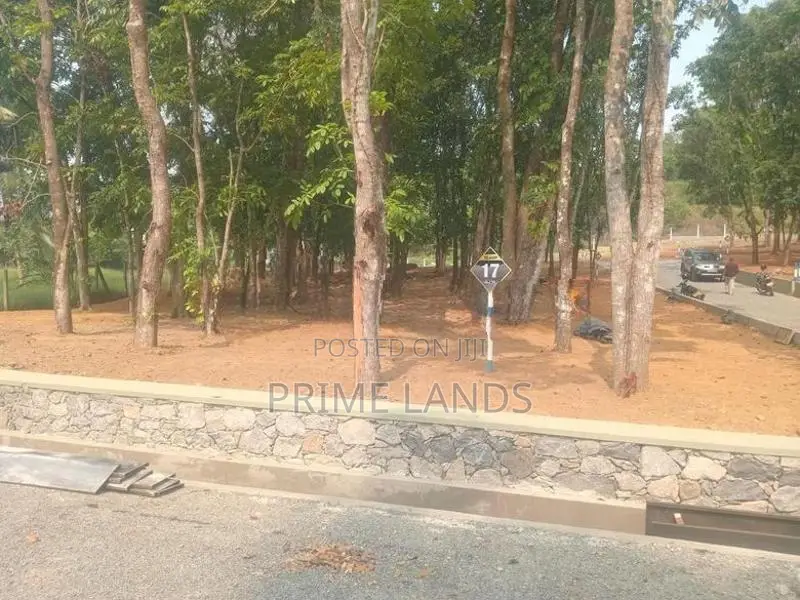 කහතුඩුවෙන් මහෝගනී වත්තක්