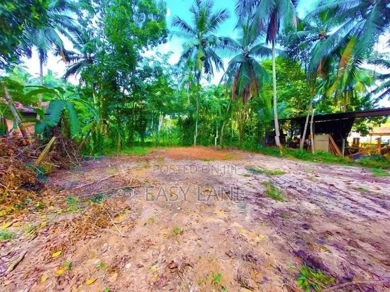 land for sale in udugampola