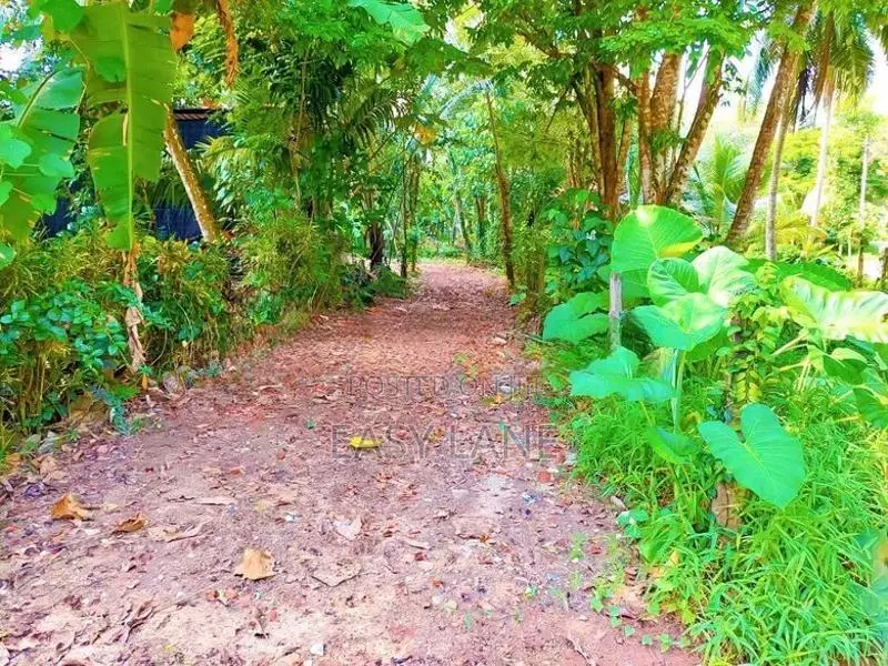 land for sale in udugampola
