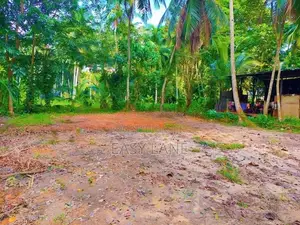 land for sale in udugampola