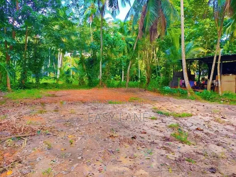 land for sale in udugampola