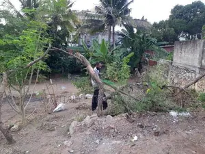 Land For Sale In Thalawathugoda - CL891