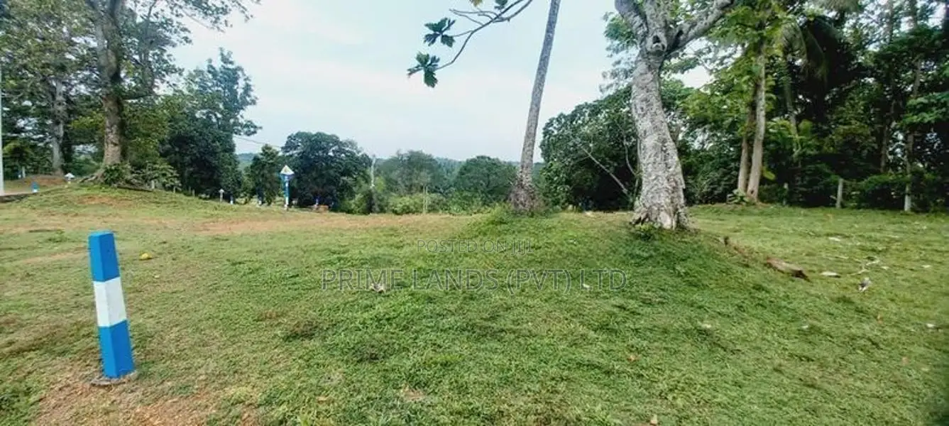 හිරණ පාරට ලඟින් බොල්ගොඩ ගඟ පේනමානයේ හොඳම තැනක්