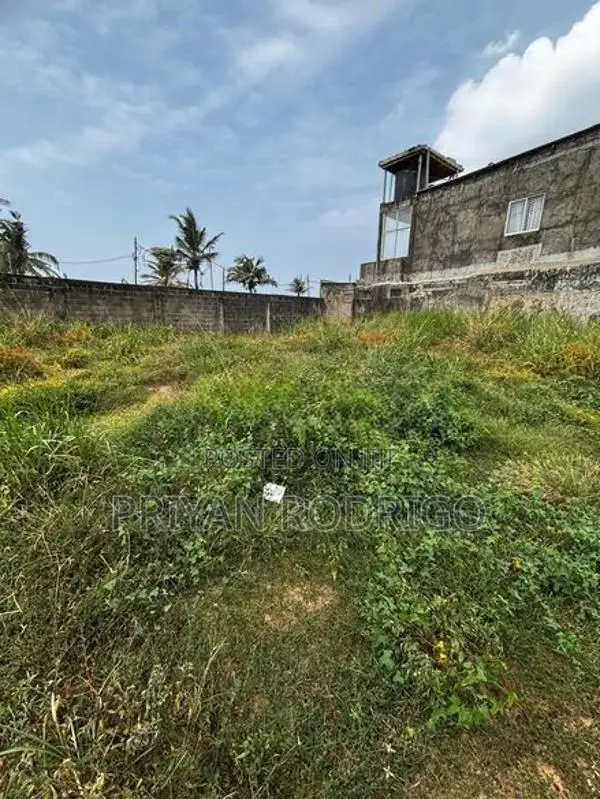 Dehiwala Aponso Avenue 75 Perches Land for Immediate Sale