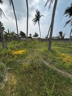 Dehiwala Aponso Avenue 75 Perches Land for Immediate Sale