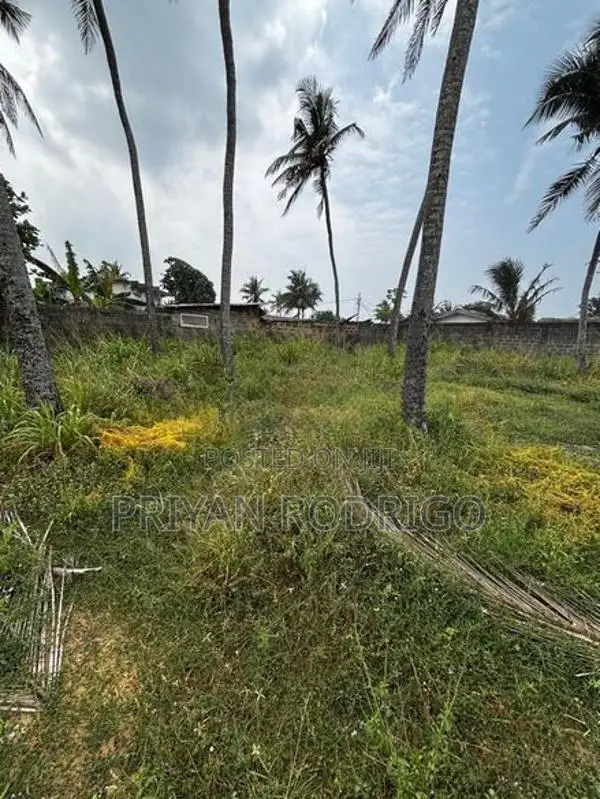Dehiwala Aponso Avenue 75 Perches Land for Immediate Sale