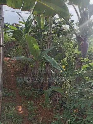 House For Sale In Avissawella