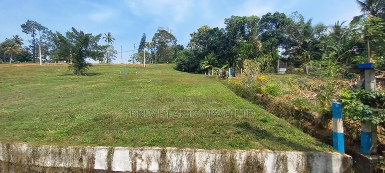 කිඳෙල්පිටිය හන්දියට ලඟින් නිදහස් තැනක් ගඟ පේනමානයේ