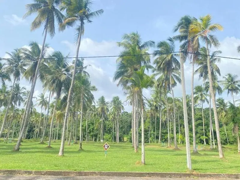 උඩුගම්පොළින් නේවාසික බිම්කොටස් විකිණීමට
