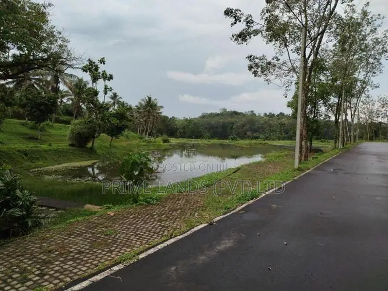 හෝමාගම හොරගල බිම් කොටස් විකිණීමට
