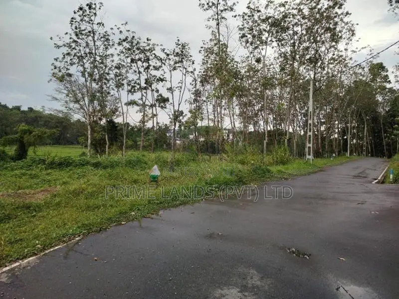 හෝමාගම හොරගල බිම් කොටස් විකිණීමට