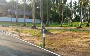 Land for Sale in Naiwala