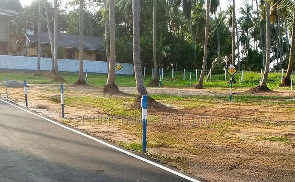 Land for Sale in Naiwala