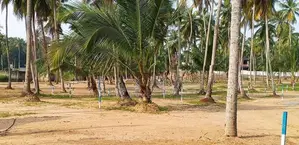 Land for Sale in Naiwala