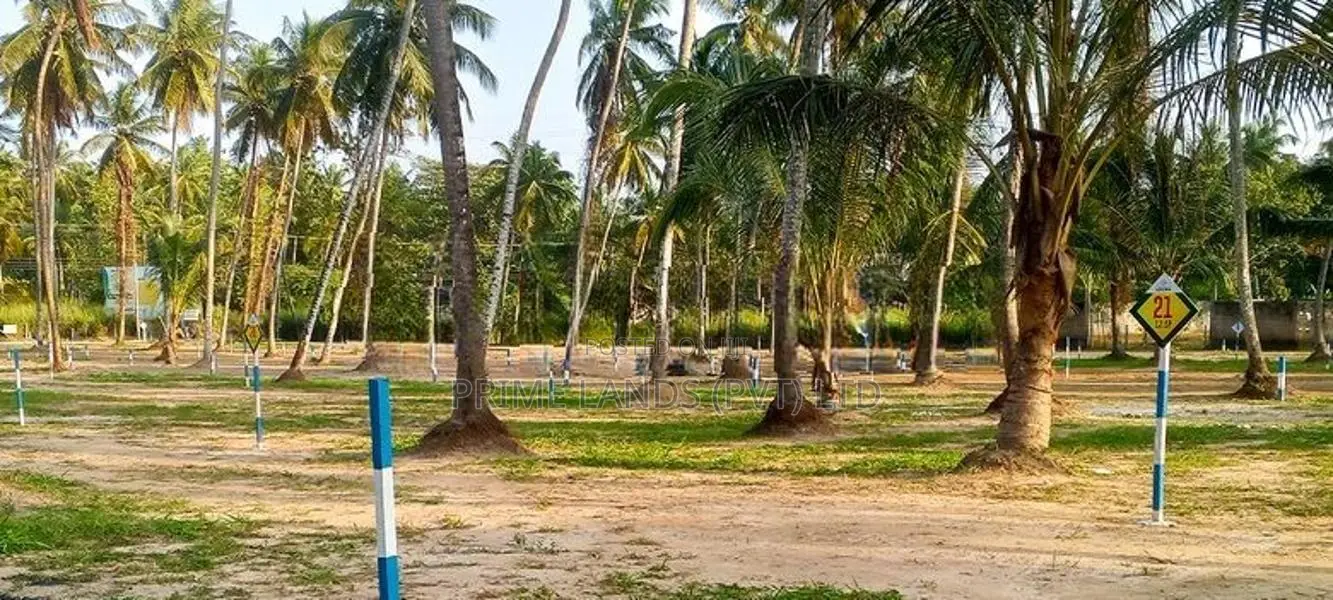 Land for Sale in Naiwala