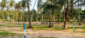 Land for Sale in Naiwala