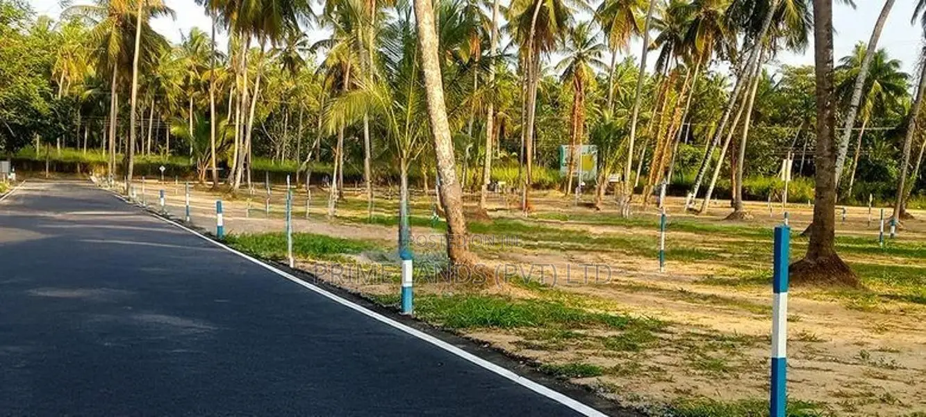 Land for Sale in Naiwala