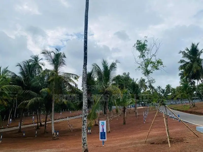 Land for Sale Near Kandana Town