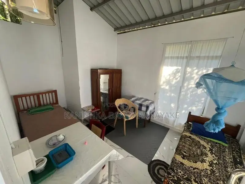Room For Rent in Peradeniya