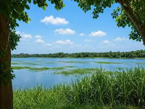 Water-Front Land Bolgoda