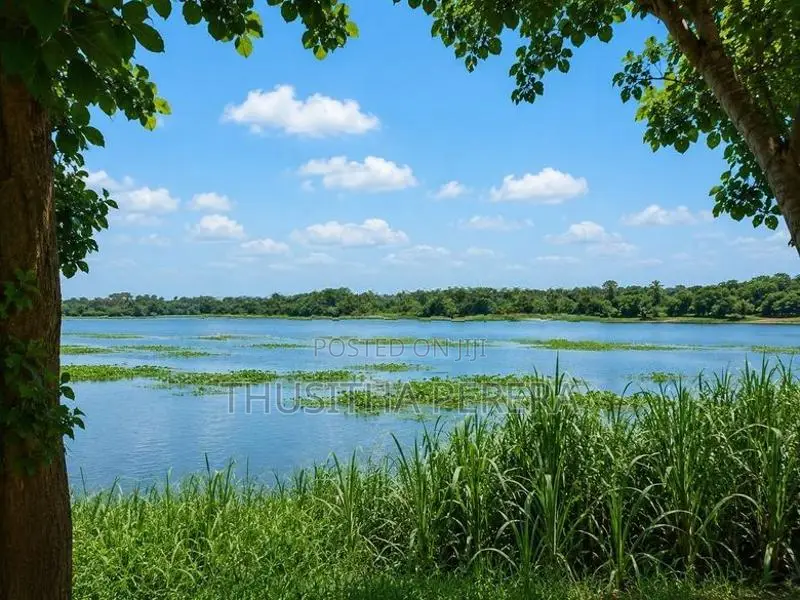 Water-Front Land Bolgoda