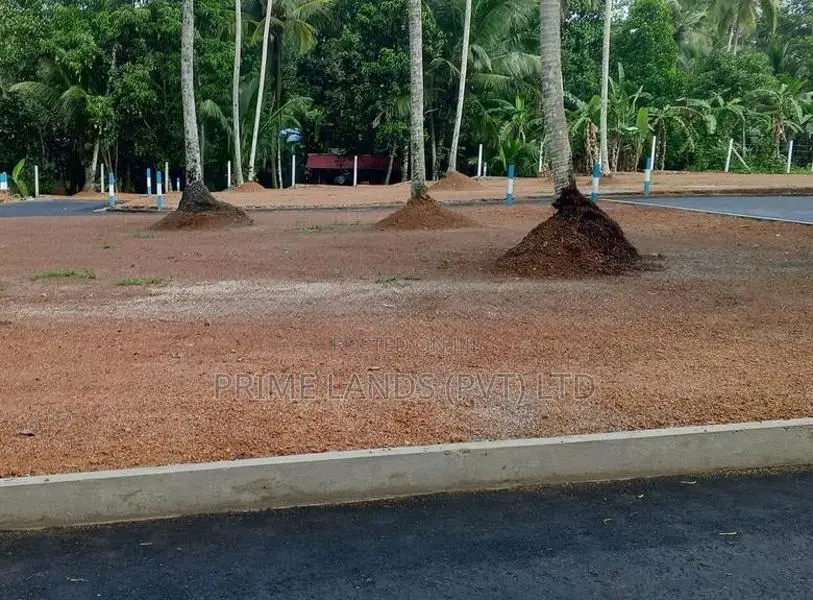 මිනුවන්ගොඩට ළග එයාපෝට් පාරෙන් බිම්කොටස්