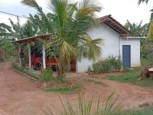 Coconut Land with Dairy Farm-Embilipitiya