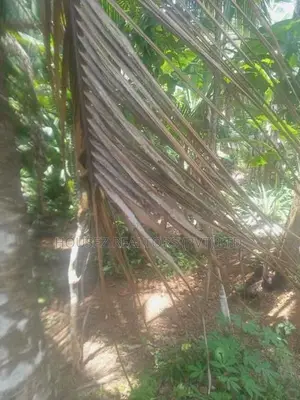 10 Perches Land for Sale – Dodangoda, Kalutara