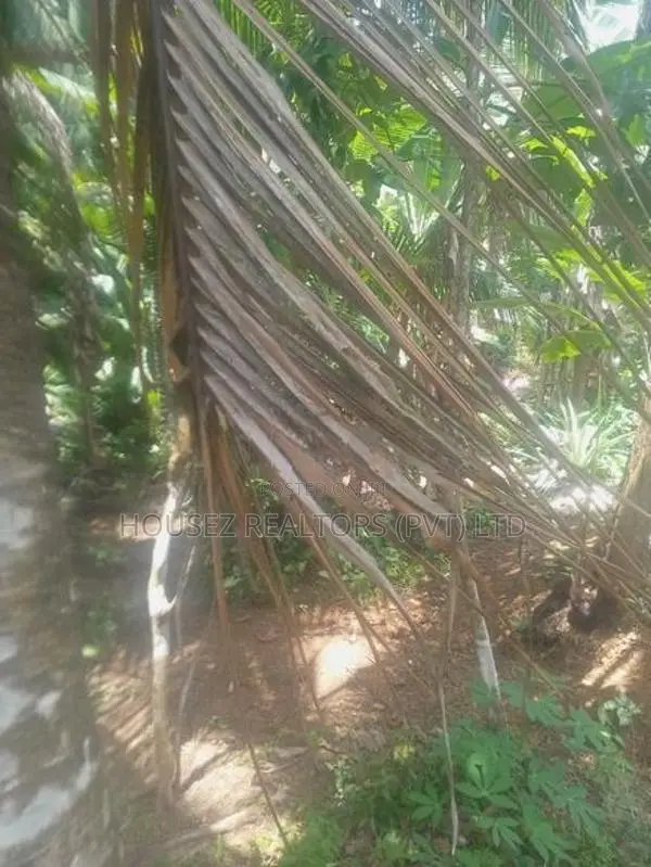 10 Perches Land for Sale – Dodangoda, Kalutara