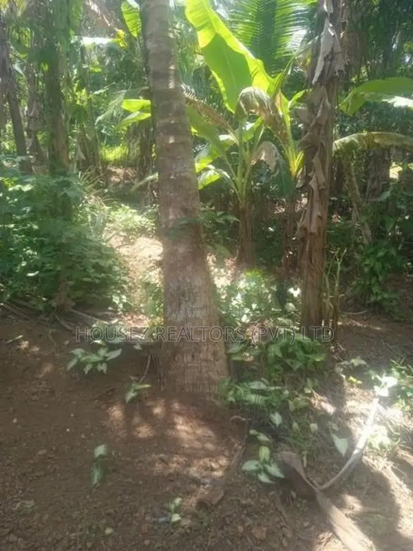 10 Perches Land for Sale – Dodangoda, Kalutara