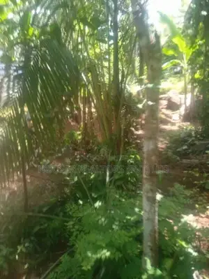 10 Perches Land for Sale – Dodangoda, Kalutara