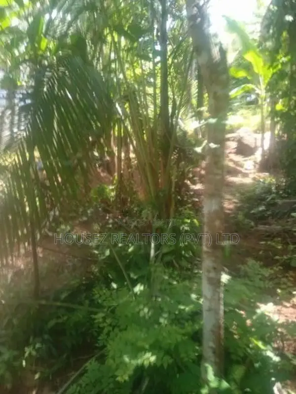 10 Perches Land for Sale – Dodangoda, Kalutara