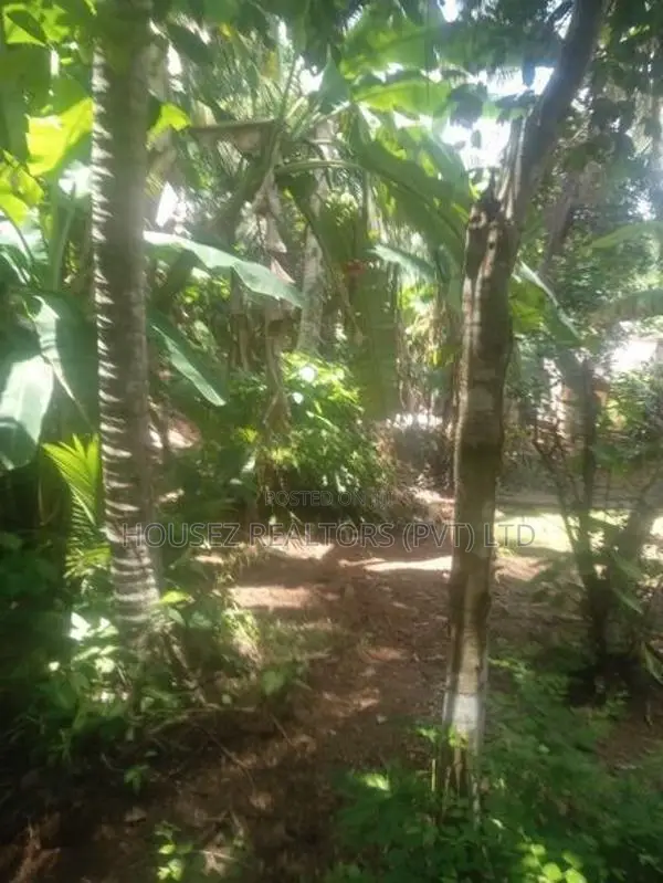 10 Perches Land for Sale – Dodangoda, Kalutara