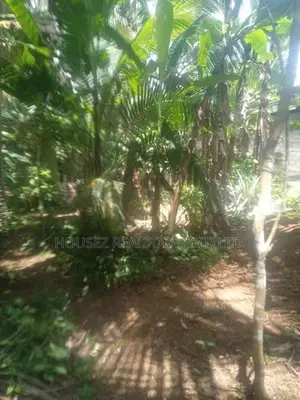 10 Perches Land for Sale – Dodangoda, Kalutara